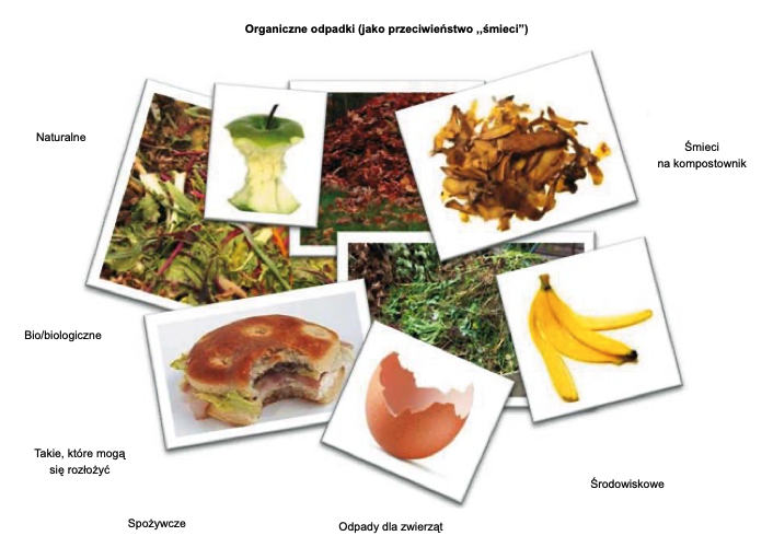 Rys. 1. Synonimy bioodpadów w rozumieniu mieszkańców (na podstawie badania przeprowadzonego w 2012 r. przez TNS na zlecenie ZGO Gać)